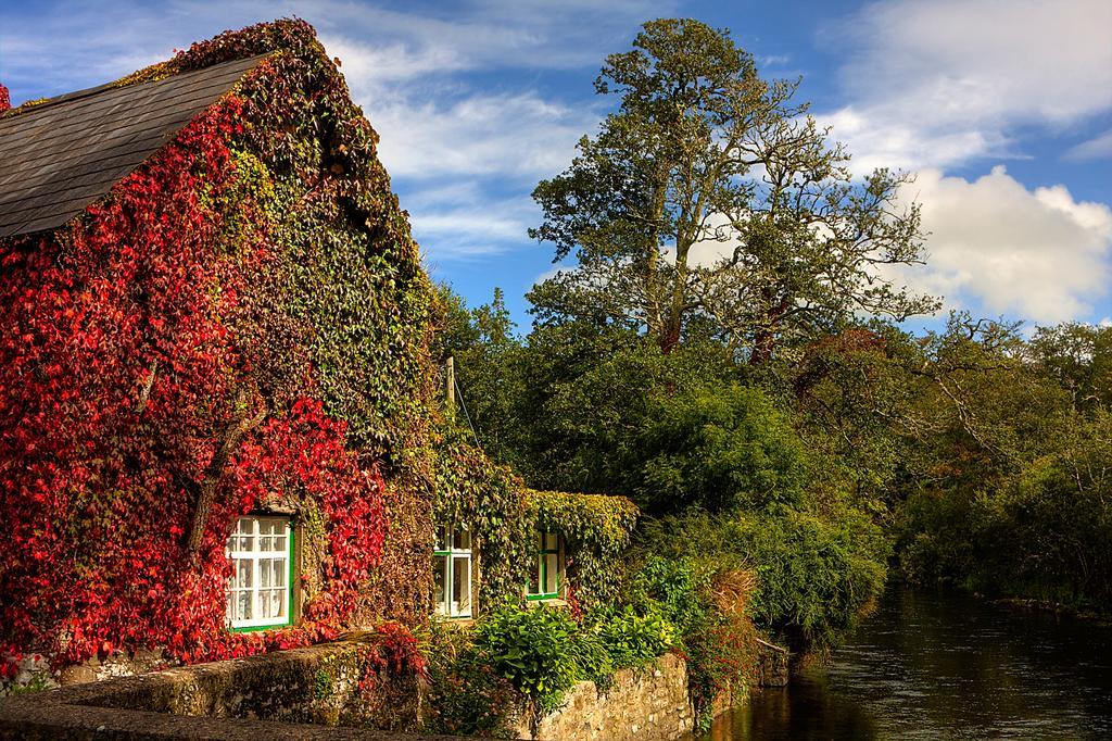 Cong Riverview House Villa Esterno foto